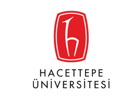 Hacettepe Üniversitesi Mentorluk Programı